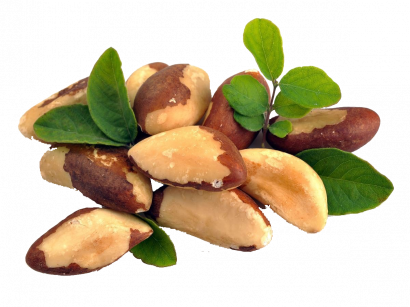 gallery/kisspng-brazil-nut-food-health-amazon-rainforest-realistic-different-nuts-5aee8d08f1f5e2.1120165115255831129911