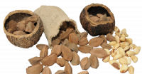 gallery/kisspng-brazil-nut-vitamin-chestnut-seed-castanha-5b348f360c3a73.8043599615301711900501